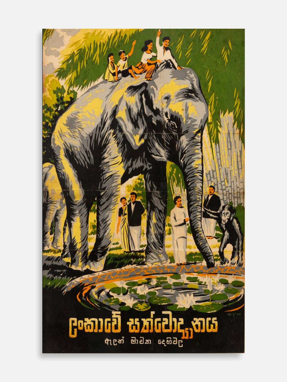 Colombo Zoo