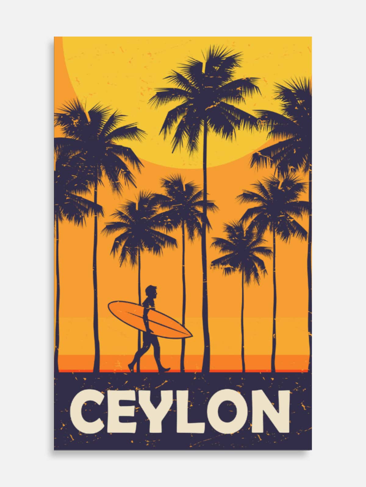 Surfer Dude