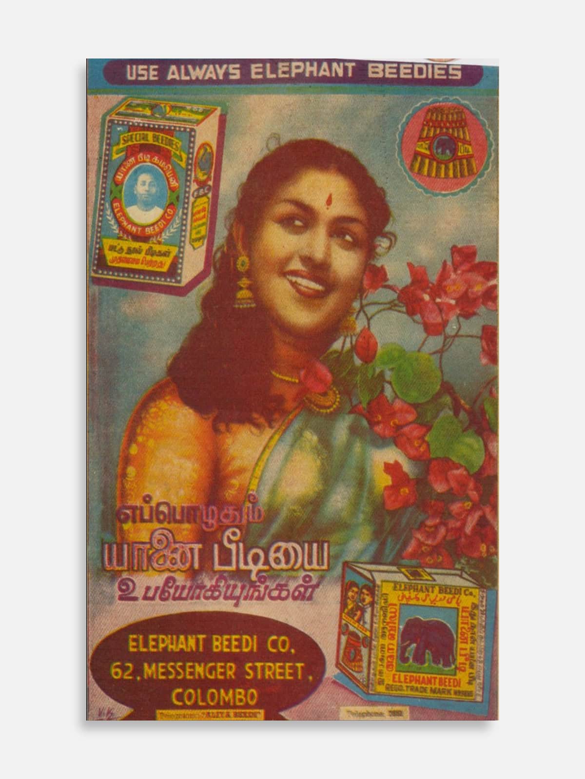 Elephant Beedi 1