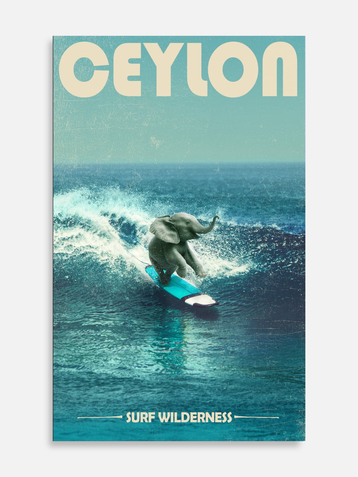 Surf Wildness