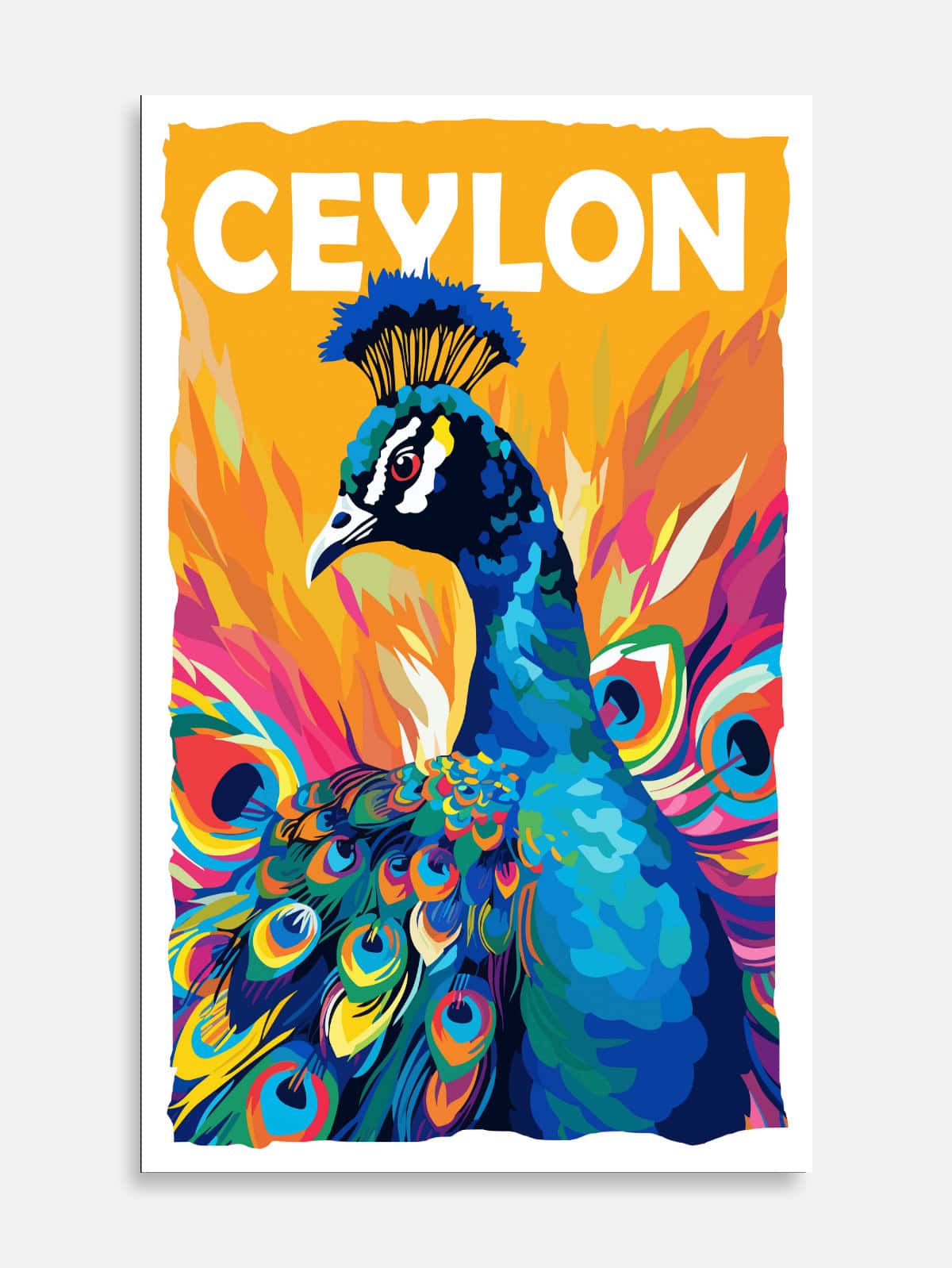 Peacock
