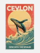 Swim with the Whales