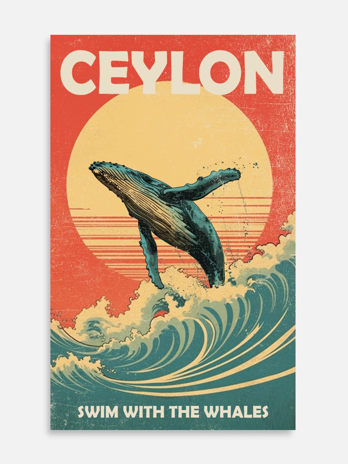 Swim with the Whales