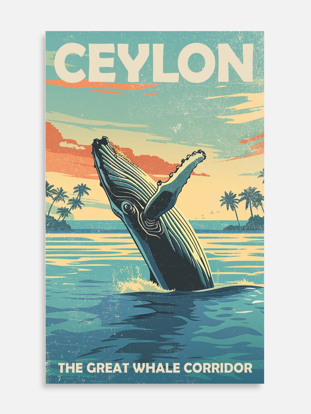 The Great Whale Corridor