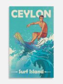 Surf Island Surfer