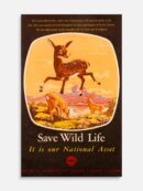 Save Wild Life