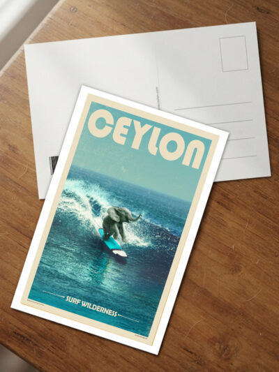 Surf Wildness