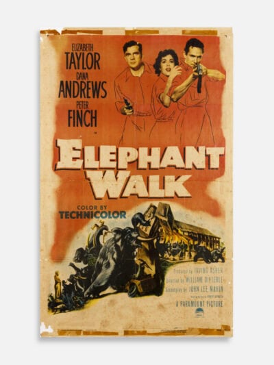 Elephant Walk