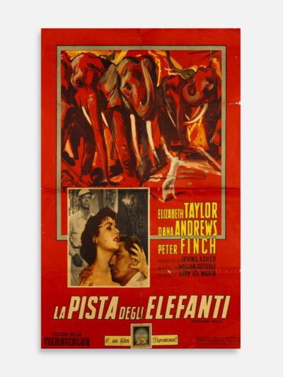 La Pista Degli Elefanti