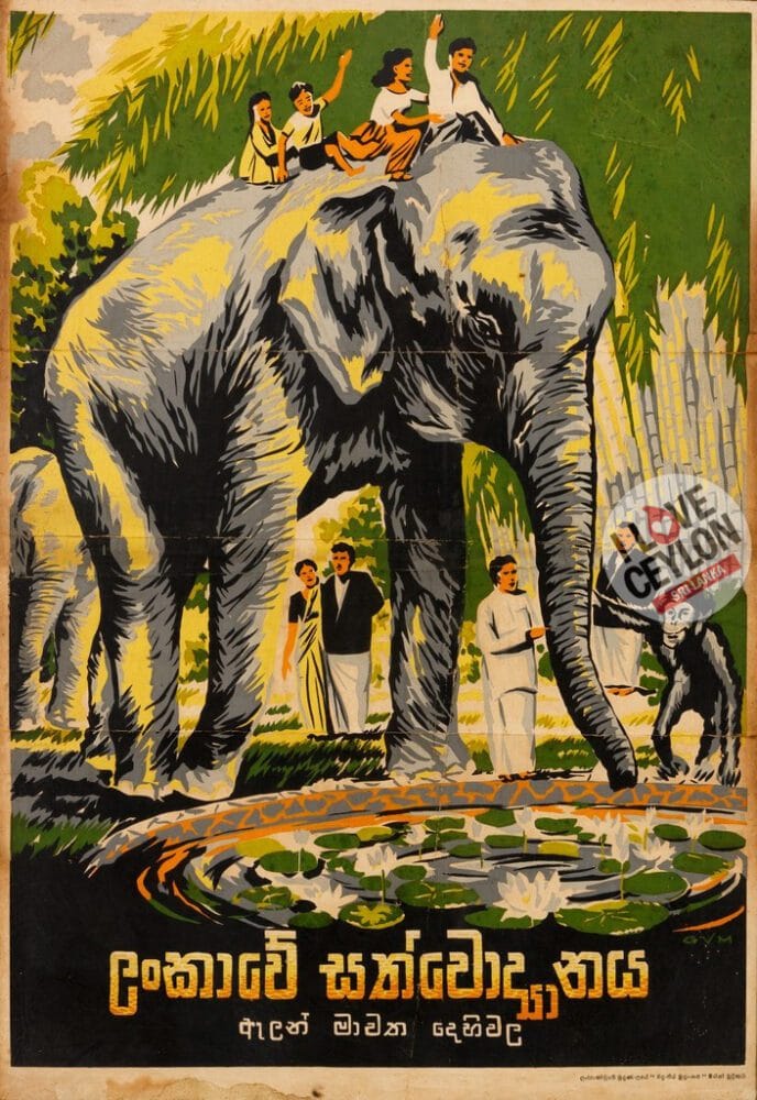 Colombo Zoo - Image 2