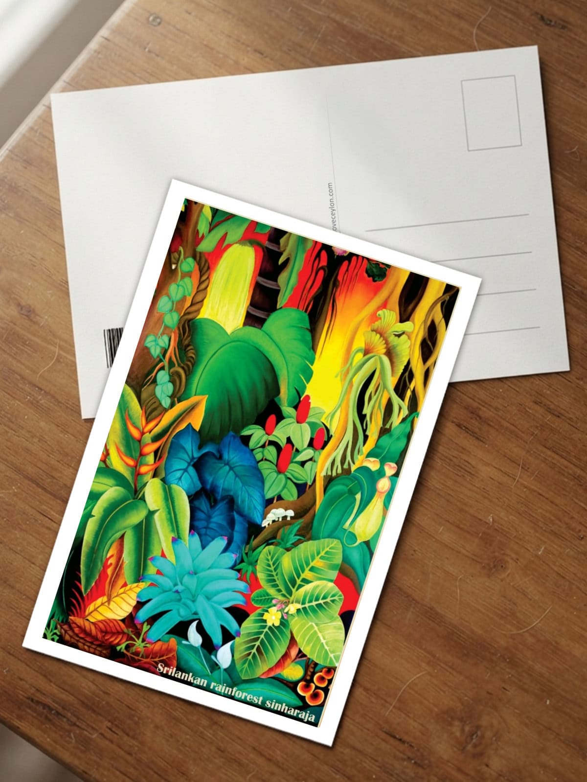 Rainforest - Image 2