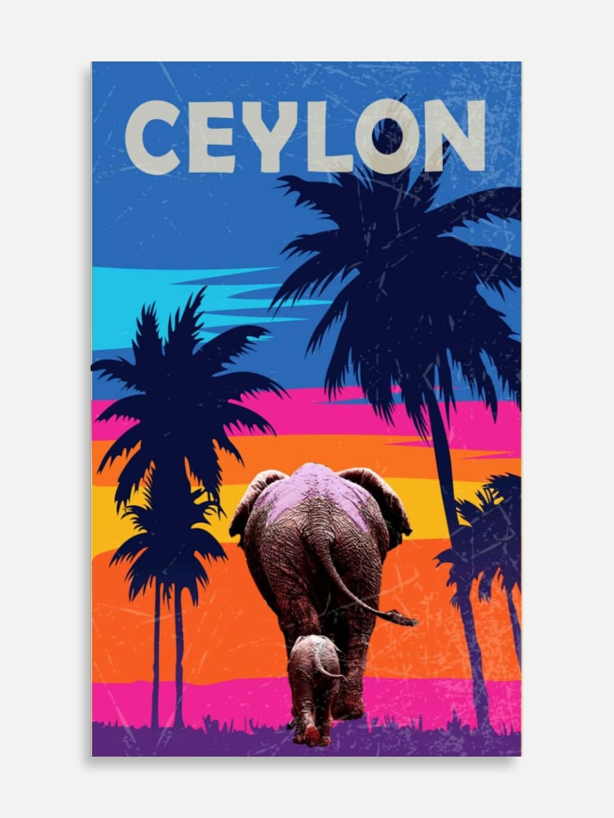 Elephant and Baby's Back