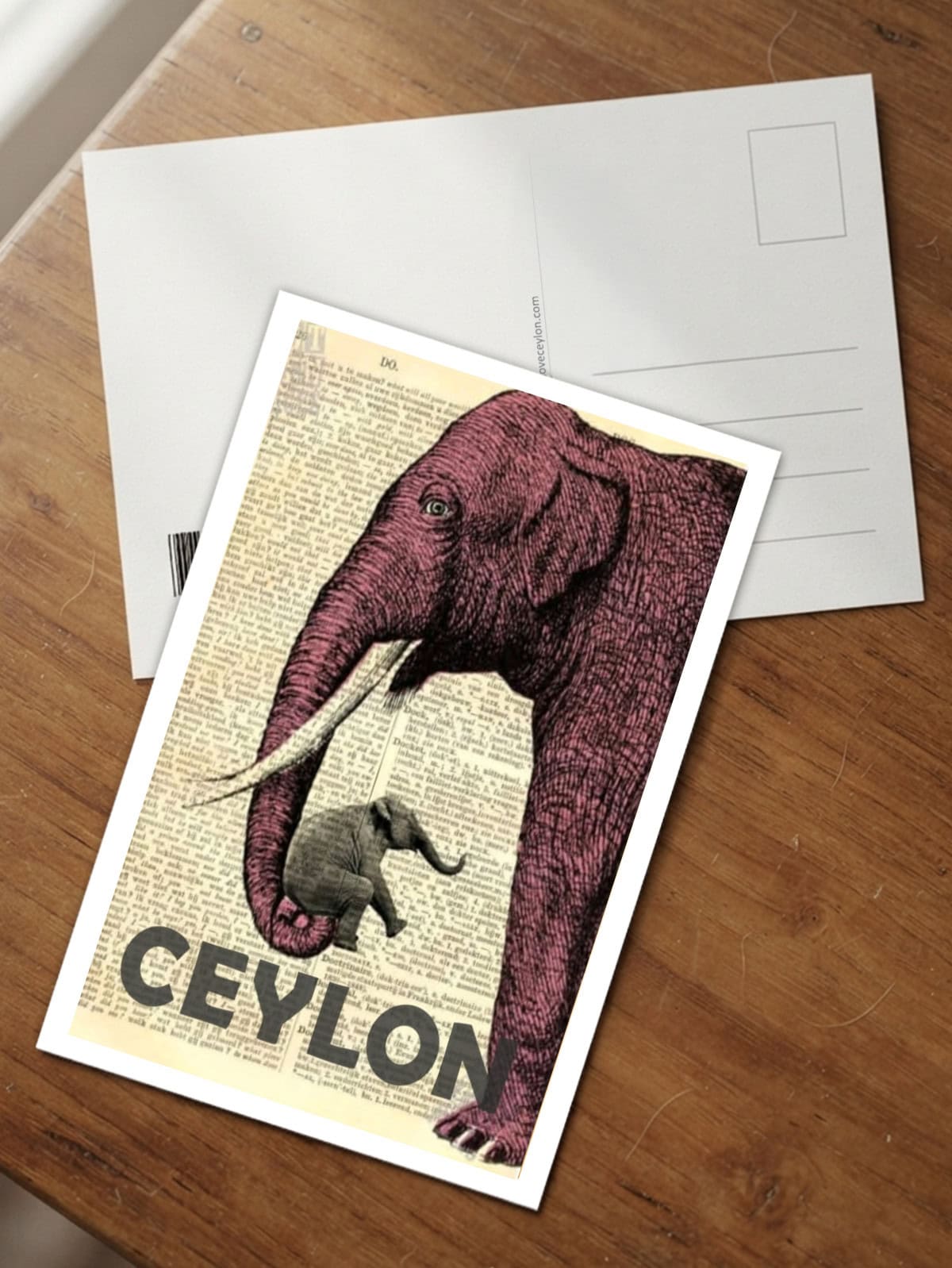Elephant and Baby - Image 2
