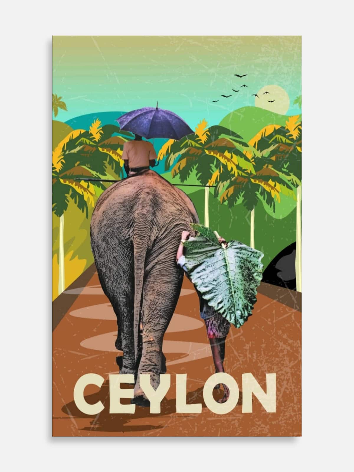 Elephant's Back