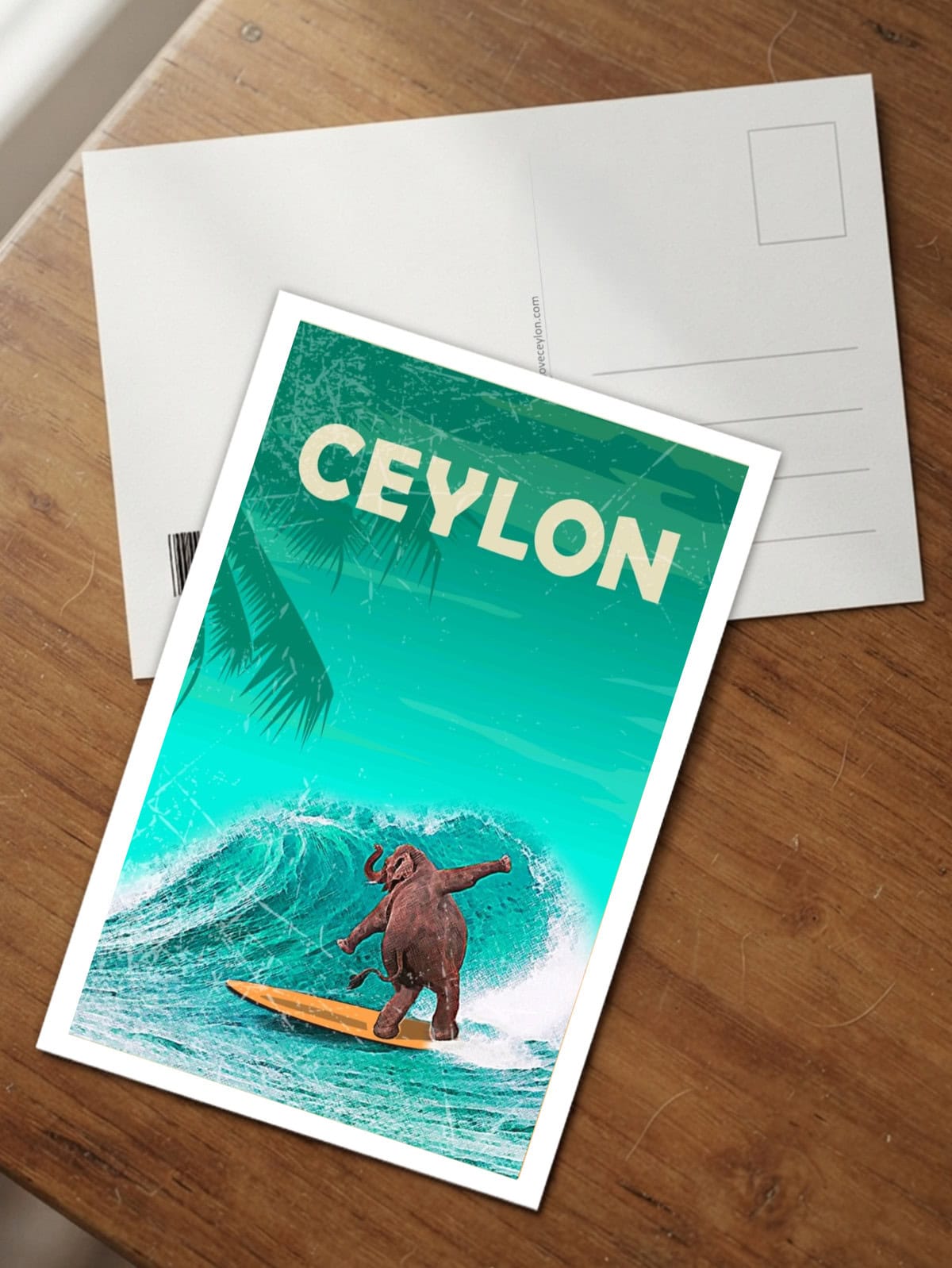Surfing Elephant - Image 2