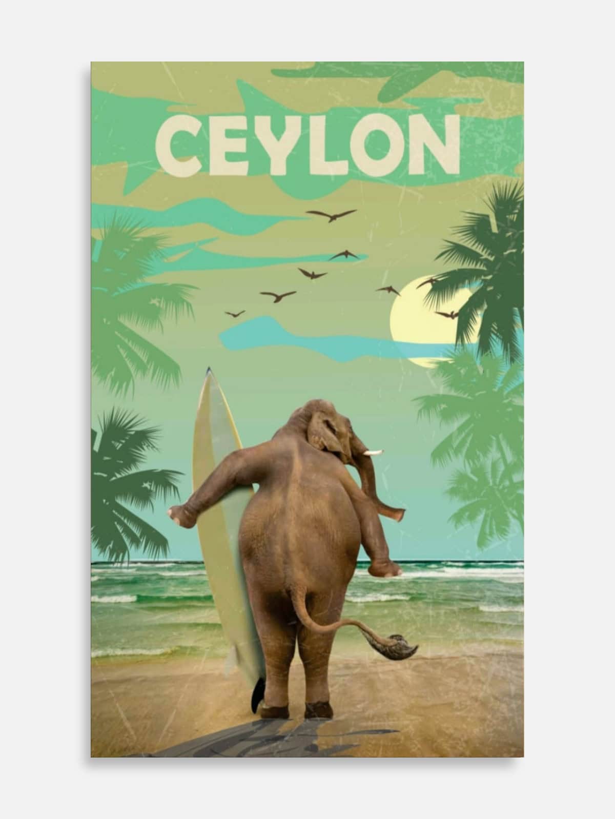 Elephant with Surfboard