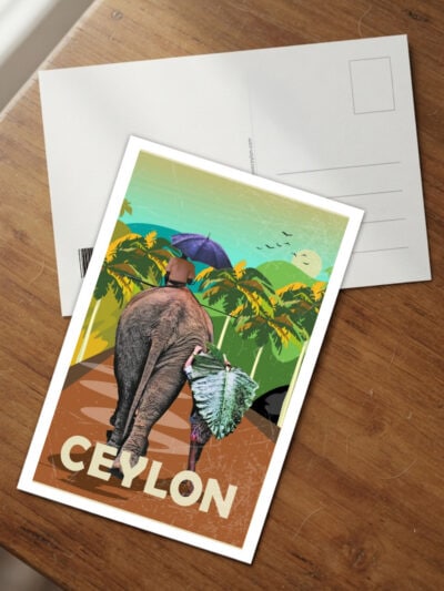 Elephant's Back