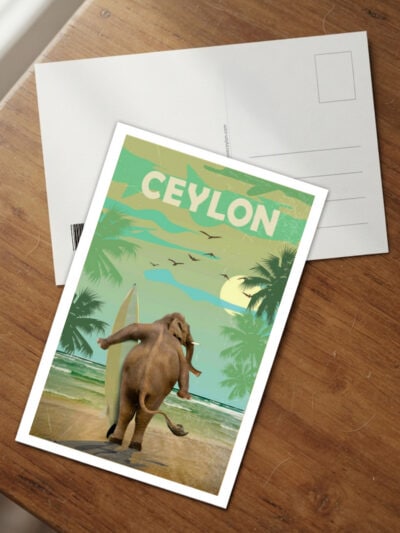 Elephant with Surfboard