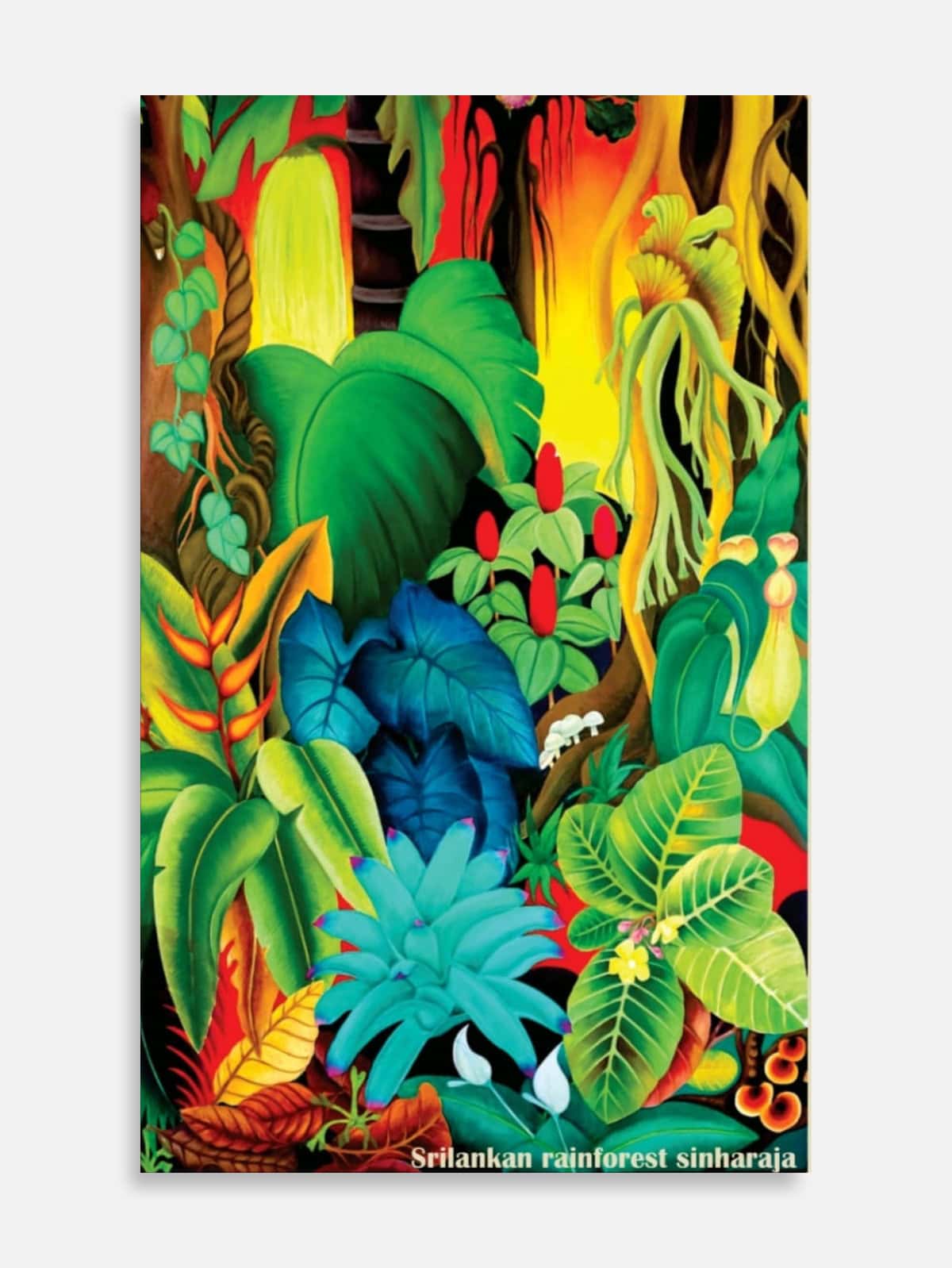 Rainforest