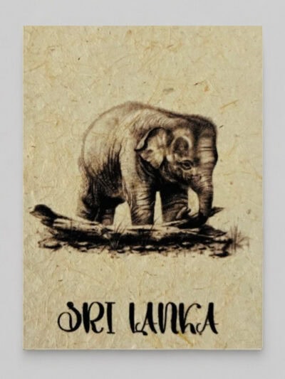 Elephant Calf Mana Grass Greeting Card