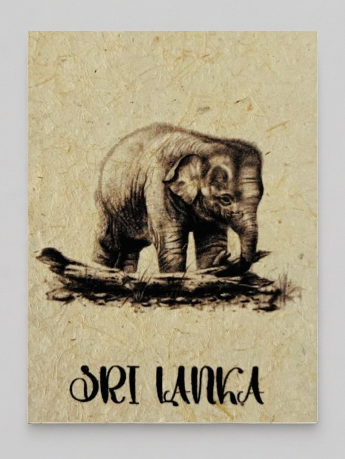 Elephant Calf Mana Grass Greeting Card