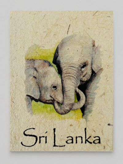 Elephant Family Mana Grass Greeting Card