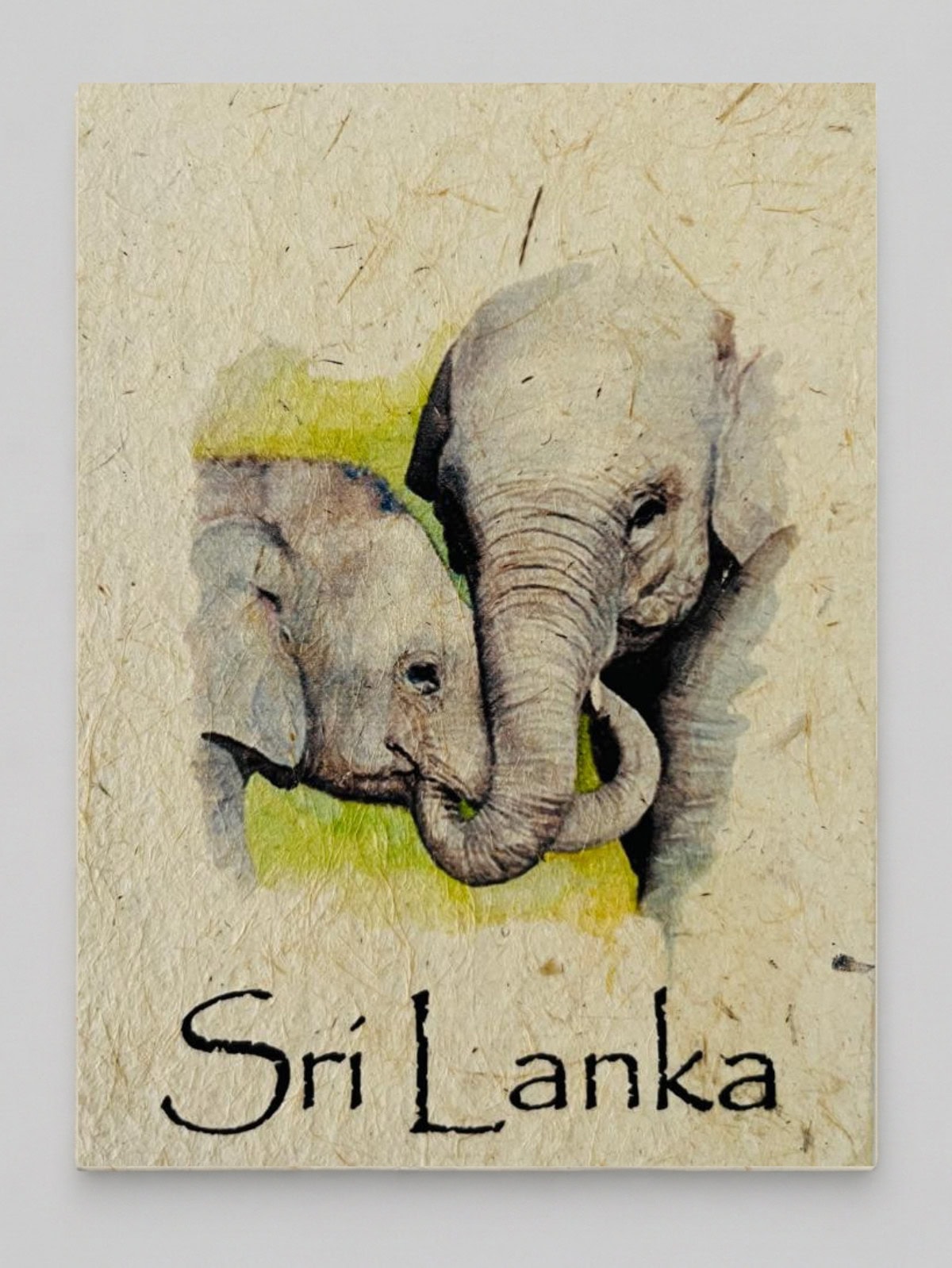 Elephant Family Mana Grass Greeting Card