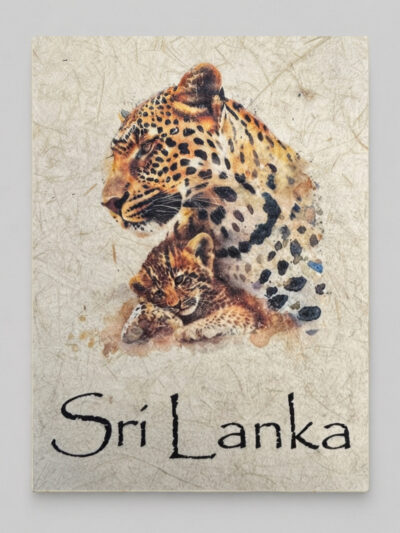 Leopard Family Mana Grass Greeting Card