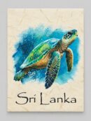 Sea Turtle Mana Grass Greeting Card