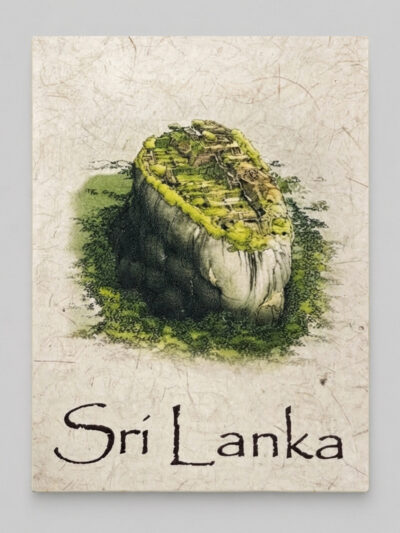 Sigiriya Mana Grass Greeting Card
