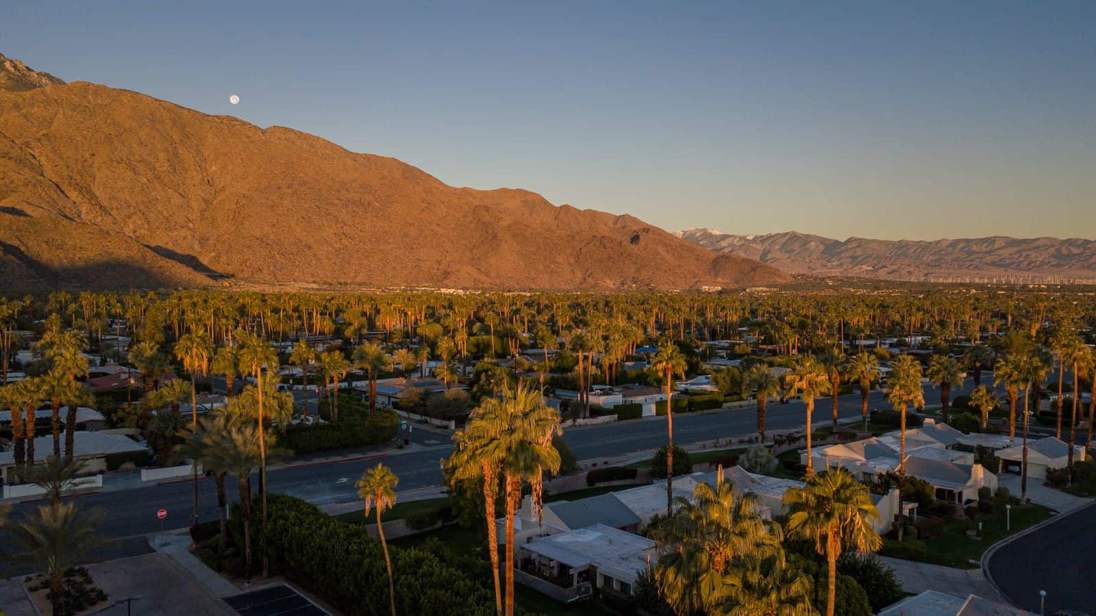 Golden hour view over single story desert homes and palm trees with mountains behind