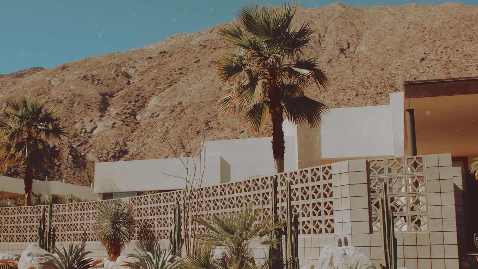 Single story stucco desert home with palm trees, rock landscaping and agaves under a clear sky