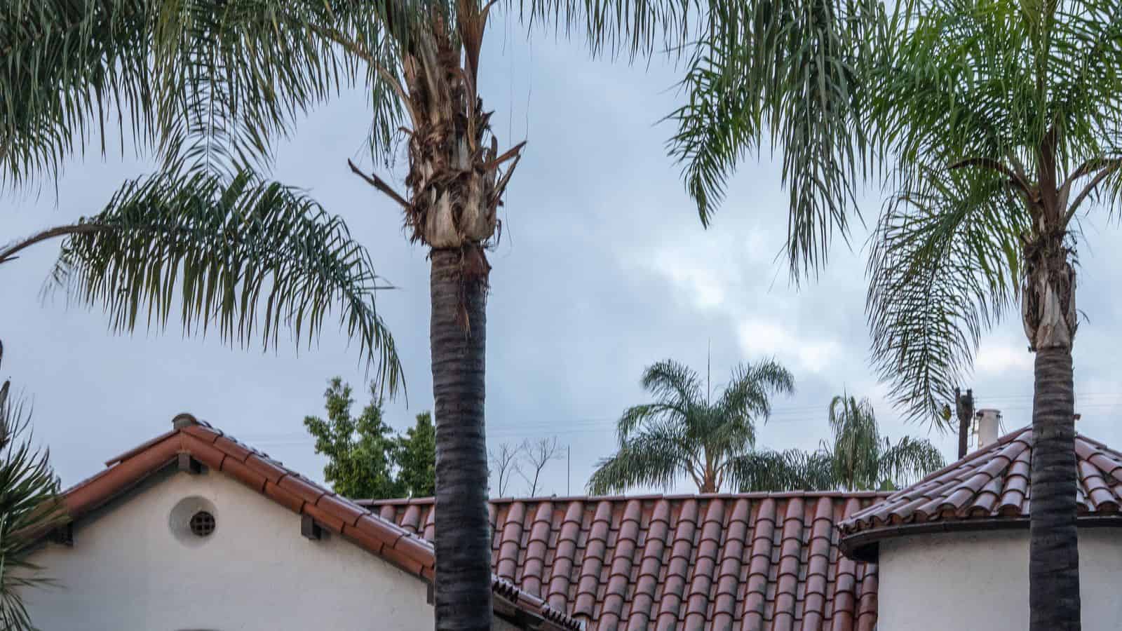Spanish Trail Country Club Property Management, A Las Vegas Owner’s Guide