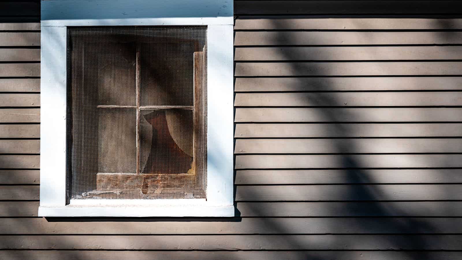 Window Screen Repair Cost at a Las Vegas Rental, Wear and Tear or Tenant Charge