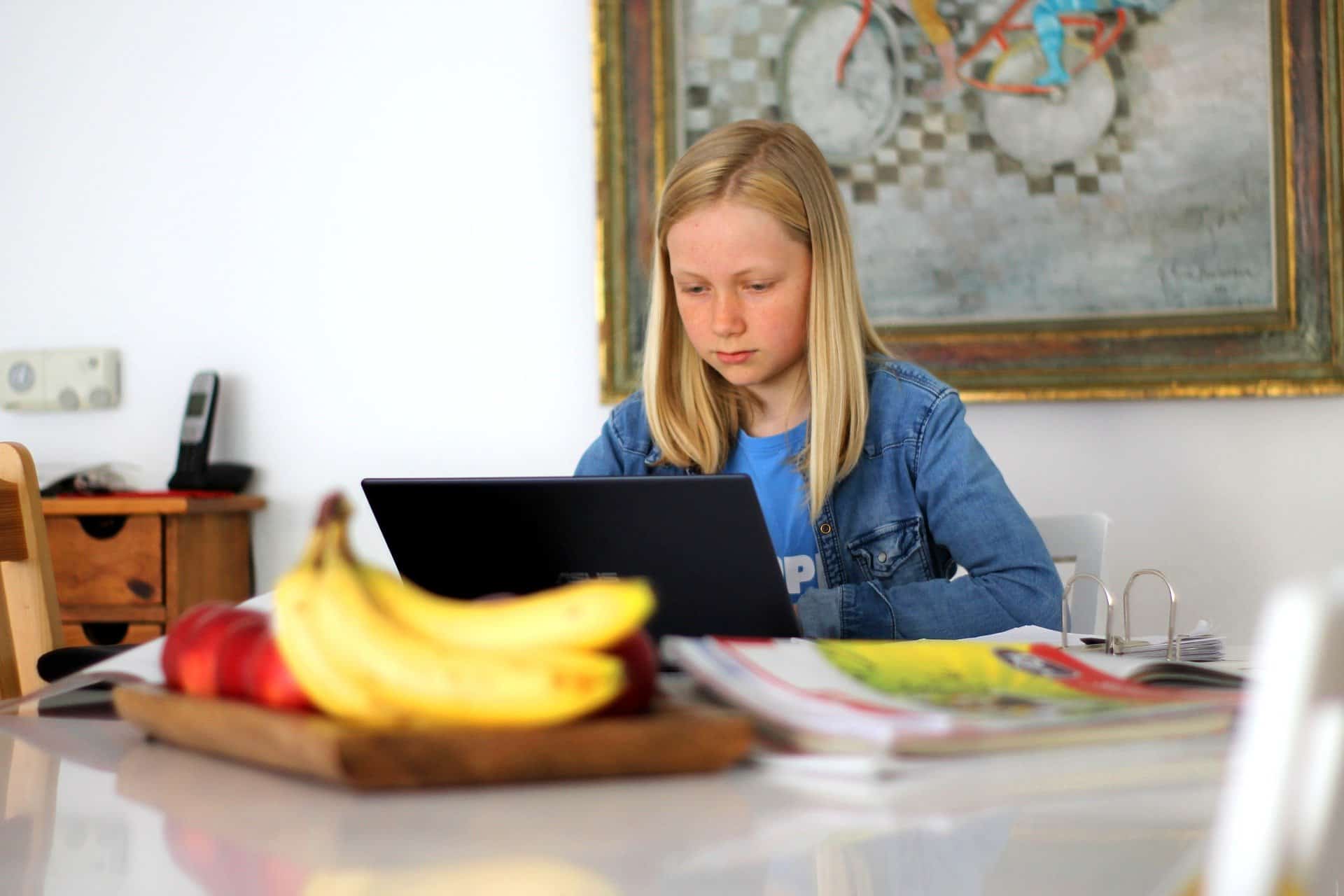 video homeschooling