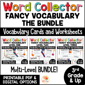 fancy-vocabulary-words-bundle