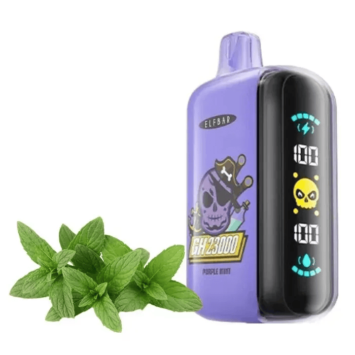 ELF BAR GH 23000 Purple Mint