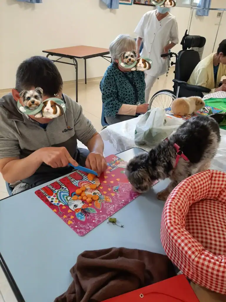 Seance mediation animale 78 Yvelines