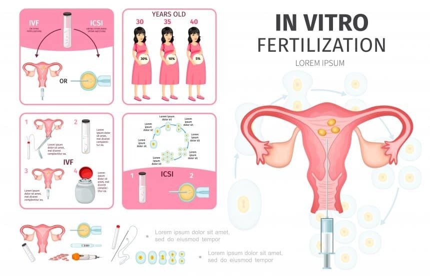 In vitro fertilization