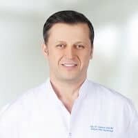 Prof. Levent Akcay Prof. Dr. Levent Akcay
