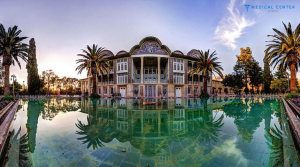 The 10 Best Countries for a Hair Transplant 1