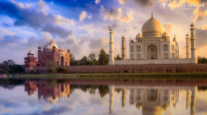 The 10 Best Countries for a Hair Transplant india
