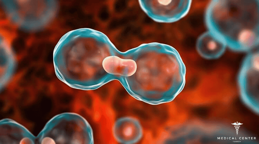 How Successful is Leukemia Treatment How Successful is Leukemia Treatment