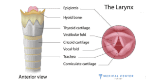 Throat Cancer 