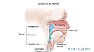 Throat Cancer 