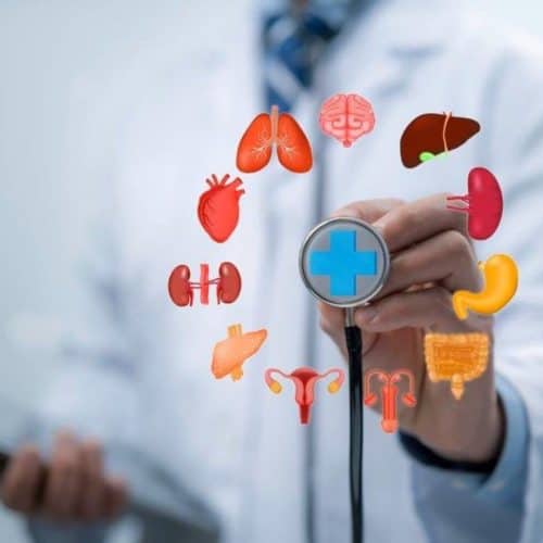 Why Get a Full Body Check-Up in Turkey in 2026?