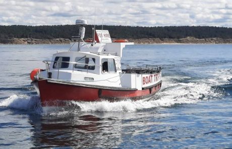 Fishing boat in Moray Firth for charter and fishing trips.