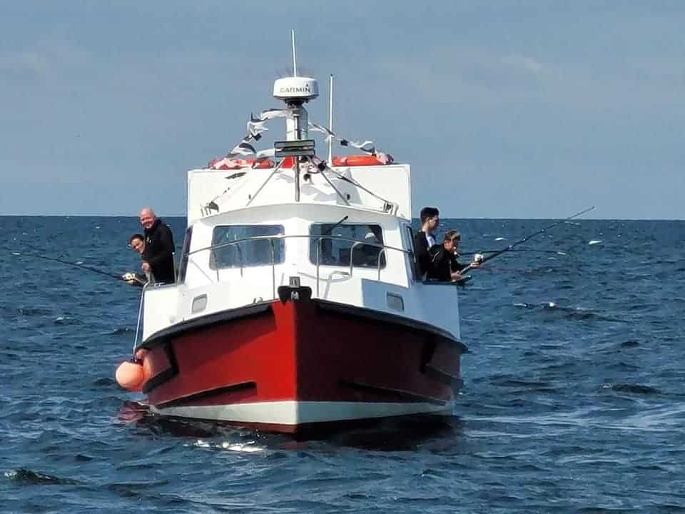 Wildlife Trips Moray Fishing Charters Burghead