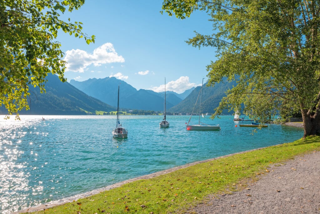 turquoise lake Achensee with sailboats, hanging branches of a birch and linden tree with green leaves , austrian landscape