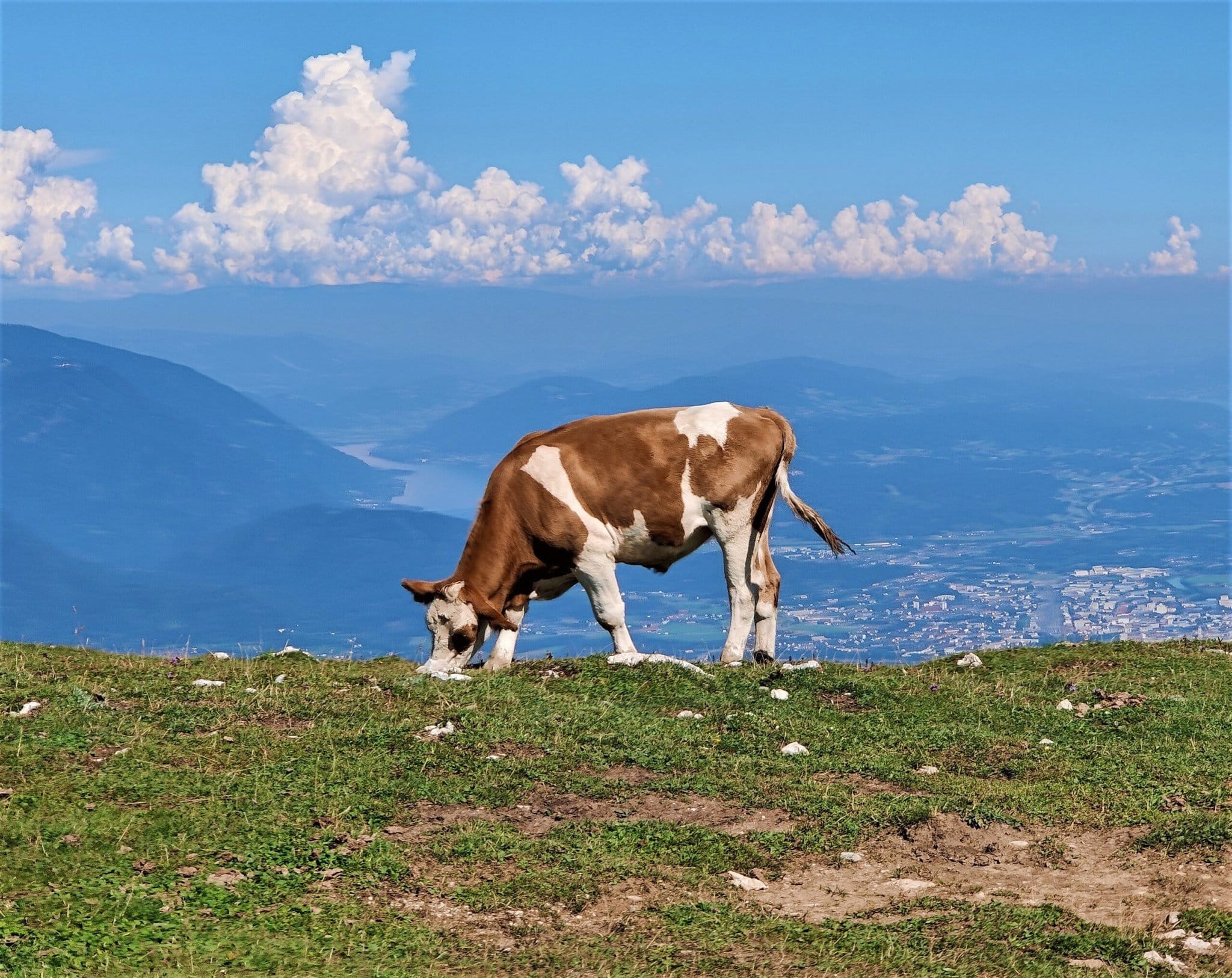 dobratsch